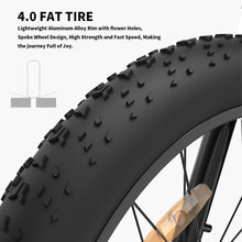 Load image into Gallery viewer, Electric Beach Bicycle   (750W Motor / 48V -13Ah Battery  / 26In 4.0 Fat Tire Mountain Bike)
